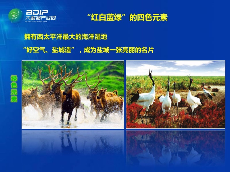 幻灯片09.jpg